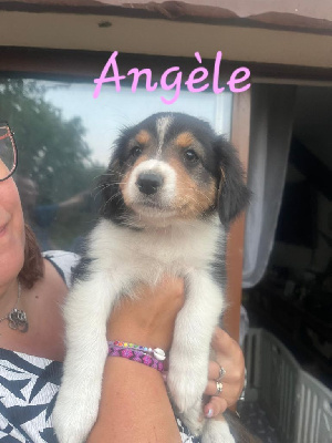 Angèle 